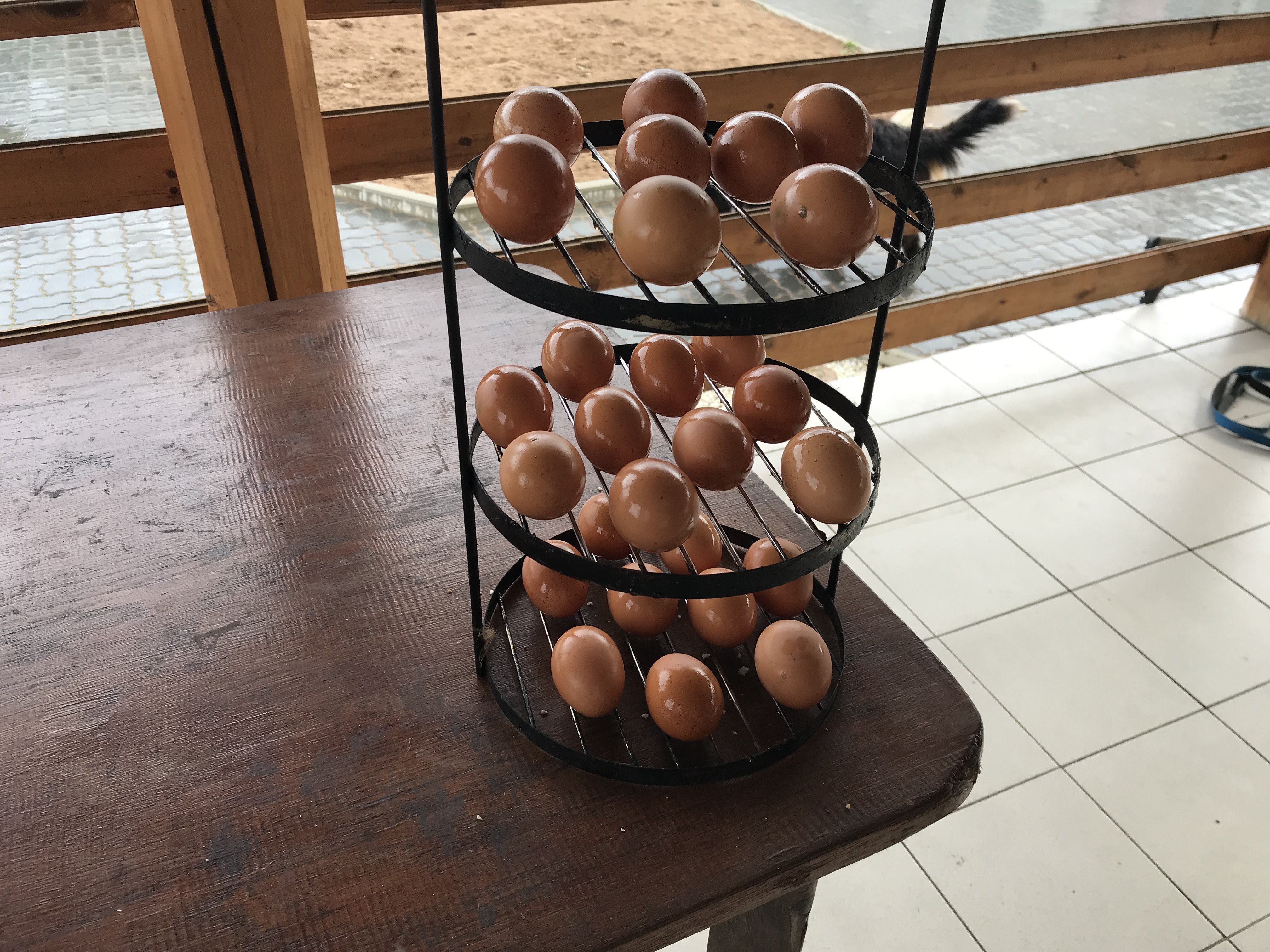 Куриные яйца, запеченные в тандыре